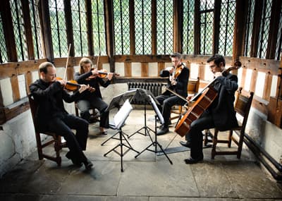 Suave String Quartet Bespoke String Quartet Hire